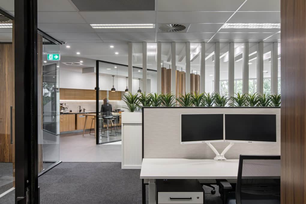 Office Interiors Adelaide, Acura Group | Contour Interiors